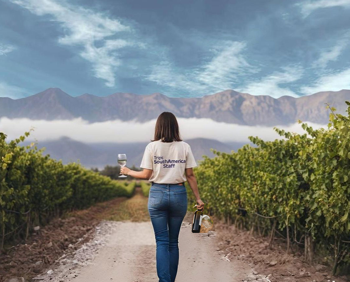 Ruta del Vino en Jujuy: La Región Vinícola Argentina que Pocos Conocen