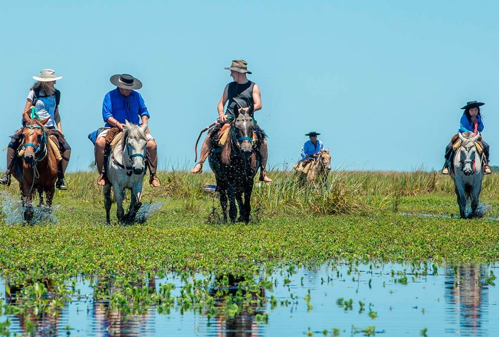 caballo portal carambola iberá