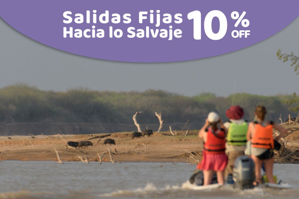 ¡Oferta especial: 10% OFF!
06 Días / 05 Noches
Argentina
Naturaleza | Escapadas | Aventura | Inmersión Cultural