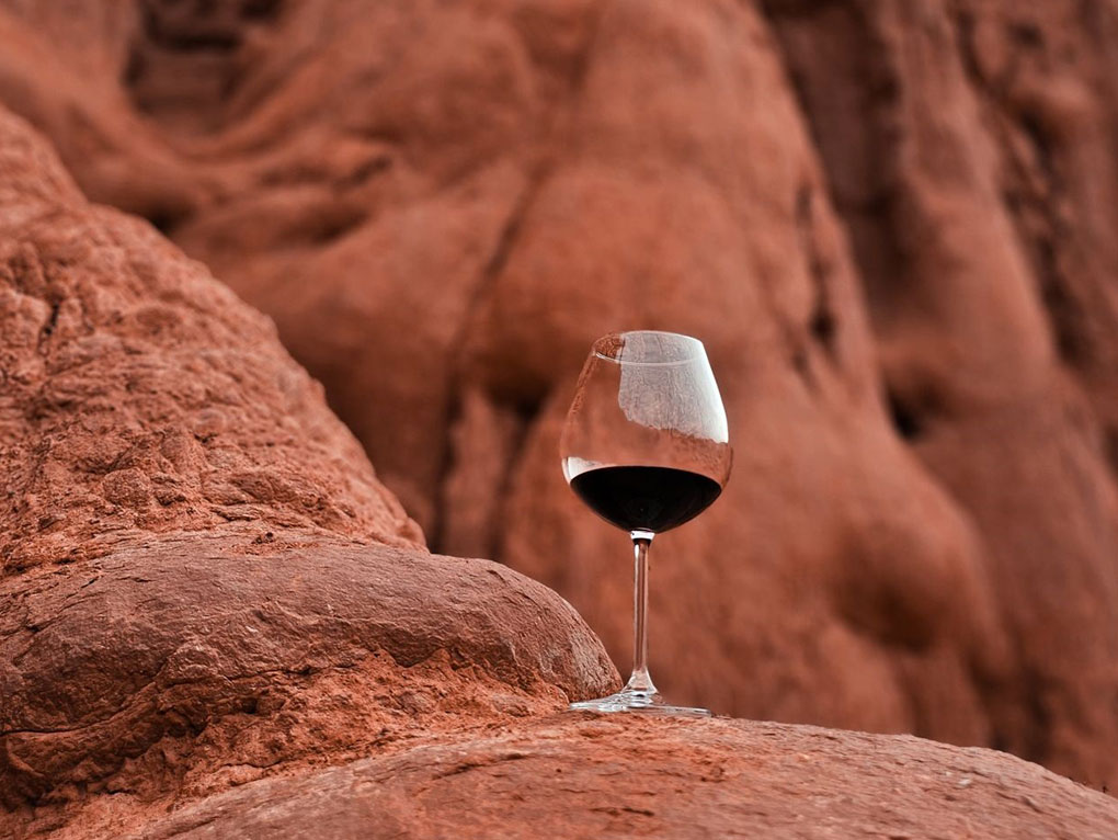 04 Días / 03 Noche
Argentina
Gastronomía | Vino | Naturaleza