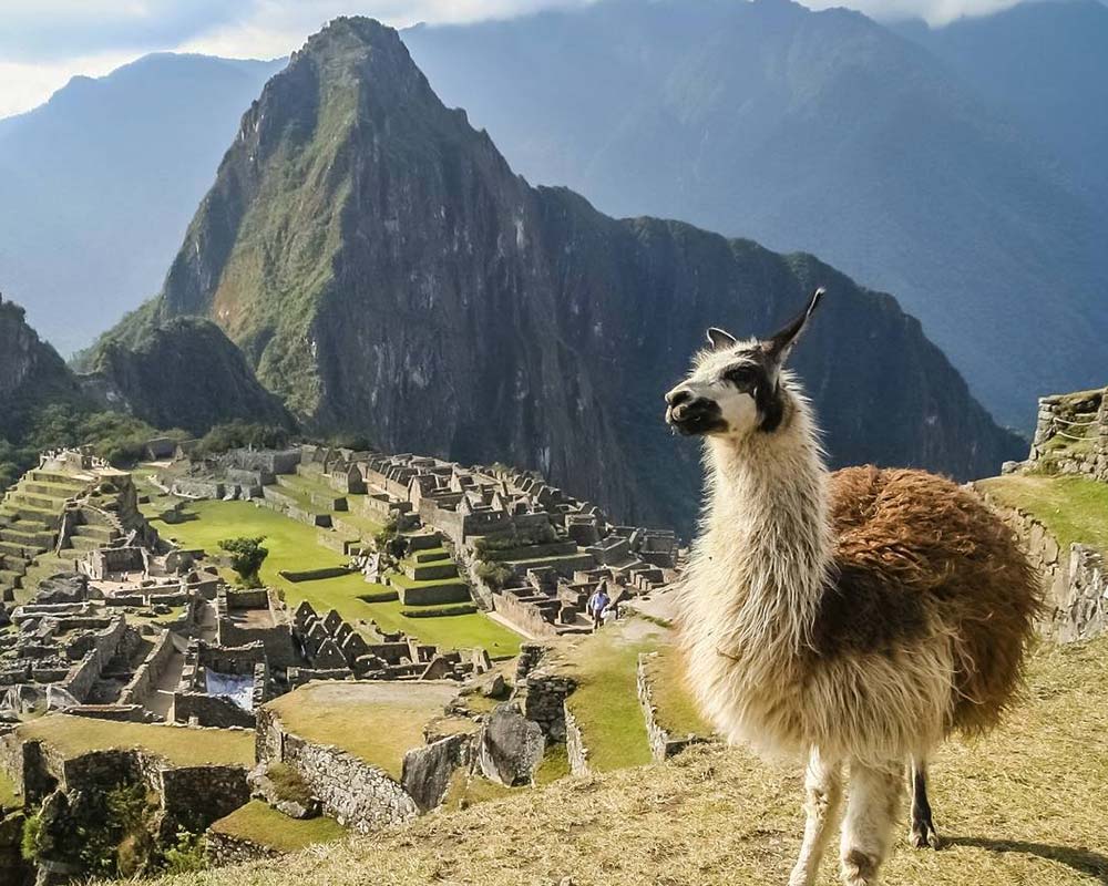 machu-picchu