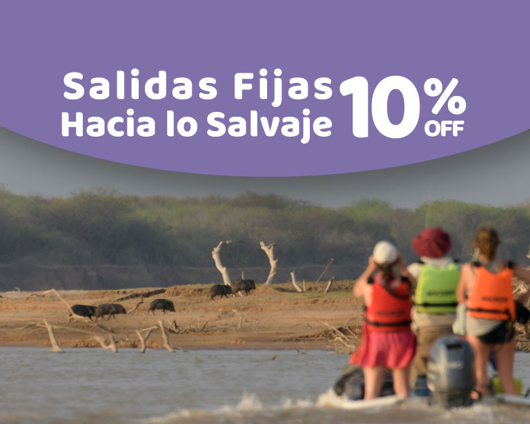 Promoción Hacia lo Salvaje - 10% OFF